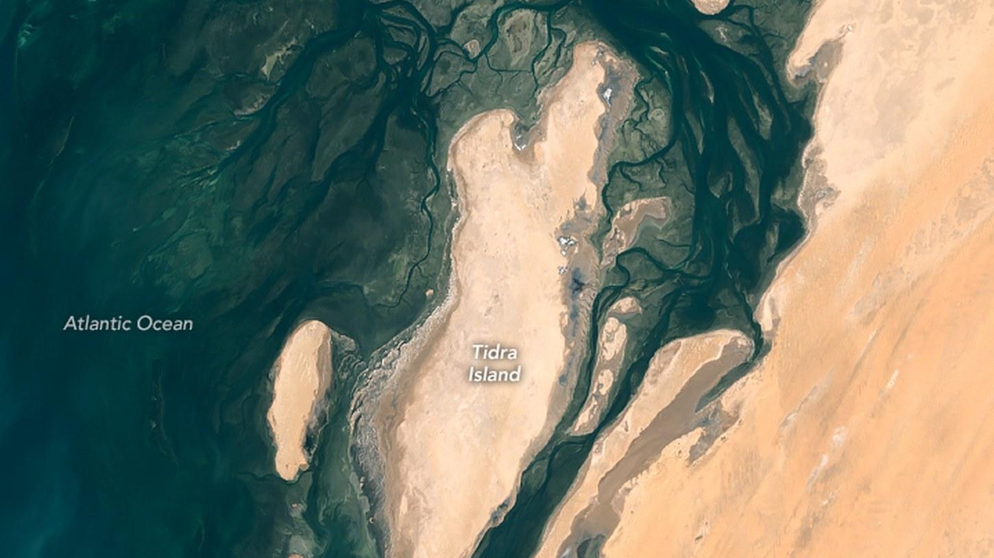 Piraguas y actividad en el Port de Pêche de Nuakchot.