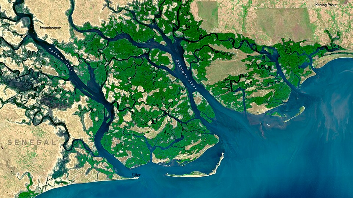 Delta del Saloum